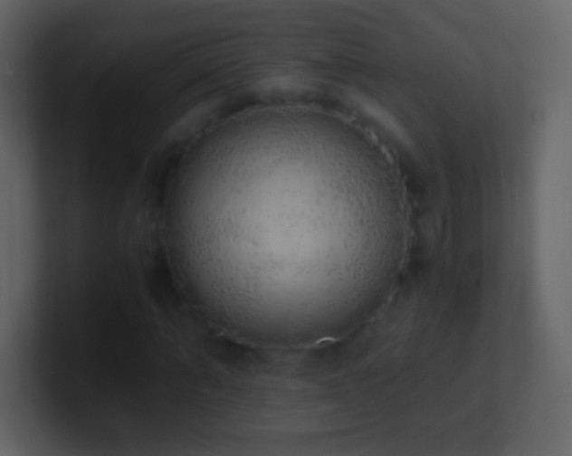 X0000101390870200807071155