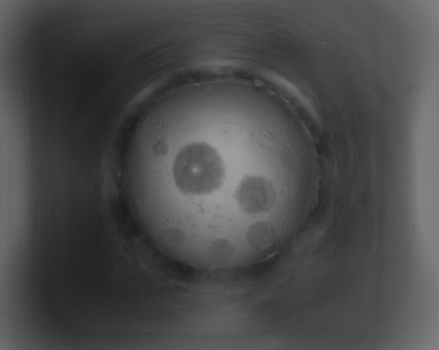 X0000101390871200807071155