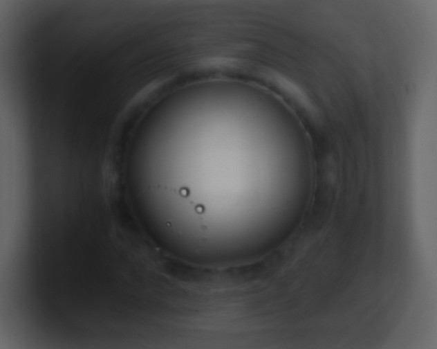 X0000101390872200807071155