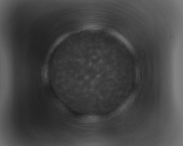 X0000101390878200807071155
