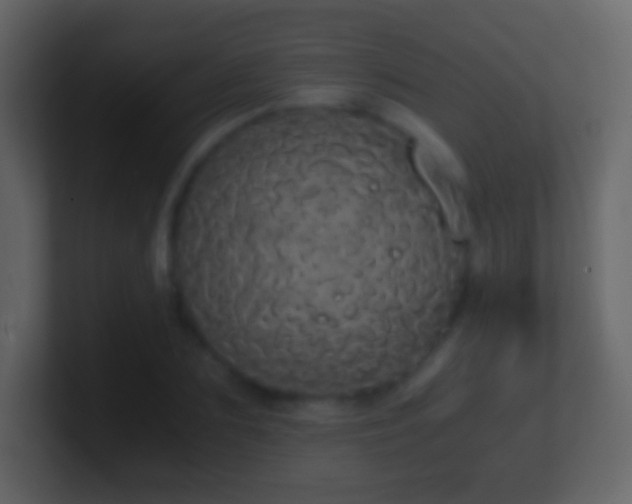 X0000101390883200807071155