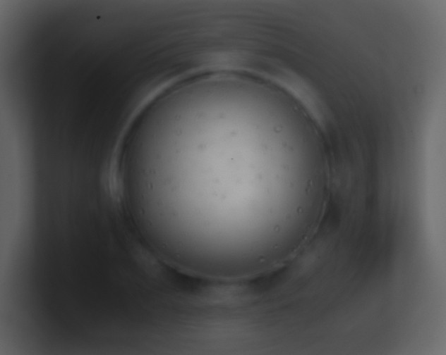 X0000101390887200807071155