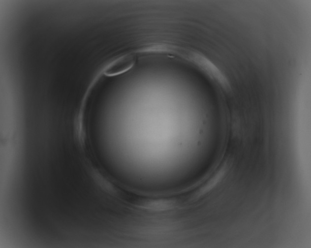 X0000101390892200807071155