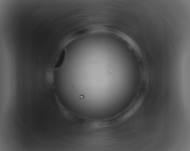 X0000101390905200807071155