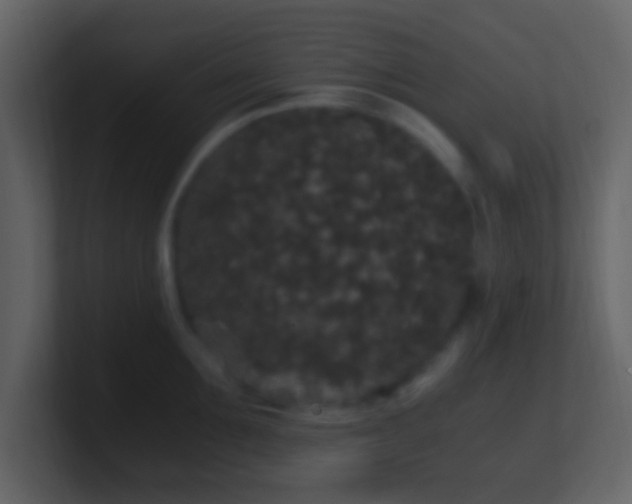 X0000101390907200807071155