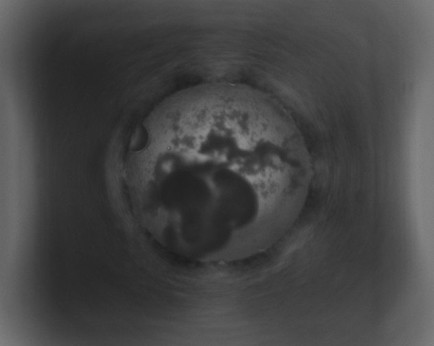 X0000101390913200807071154