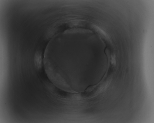 X0000101390915200807071154