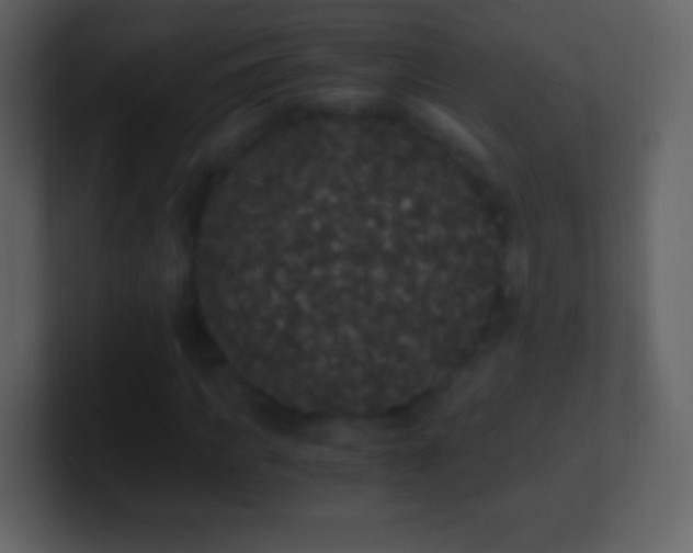 X0000101390917200807071154