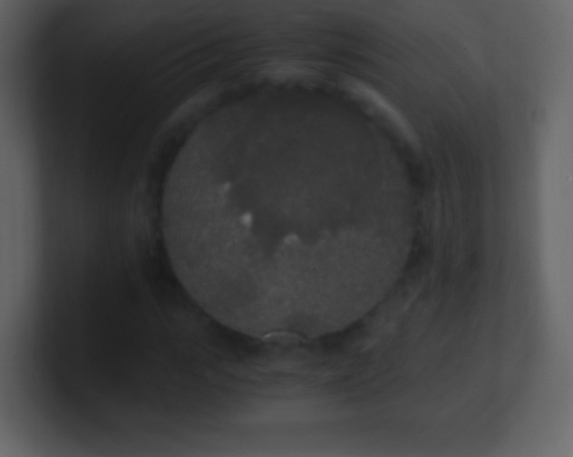 X0000101390919200807071154