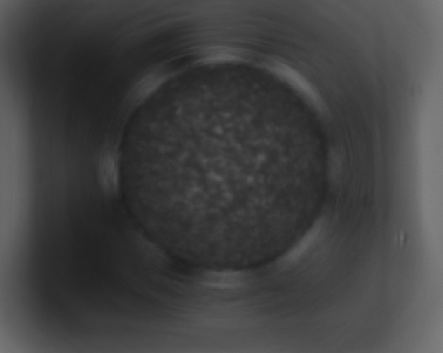 X0000101390921200807071154
