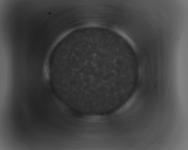 X0000101390925200807071154