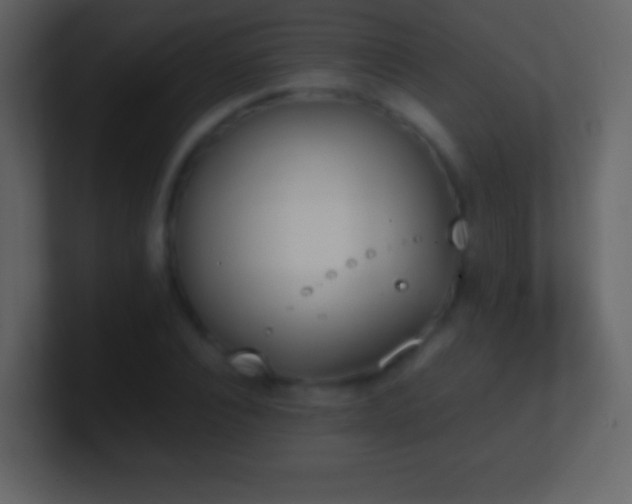 X0000101390928200807071154