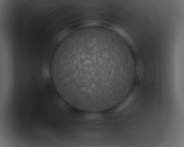 X0000101390929200807071154