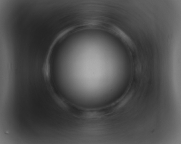 X0000101390940200807071154
