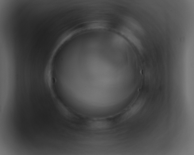 X0000101390941200807071154