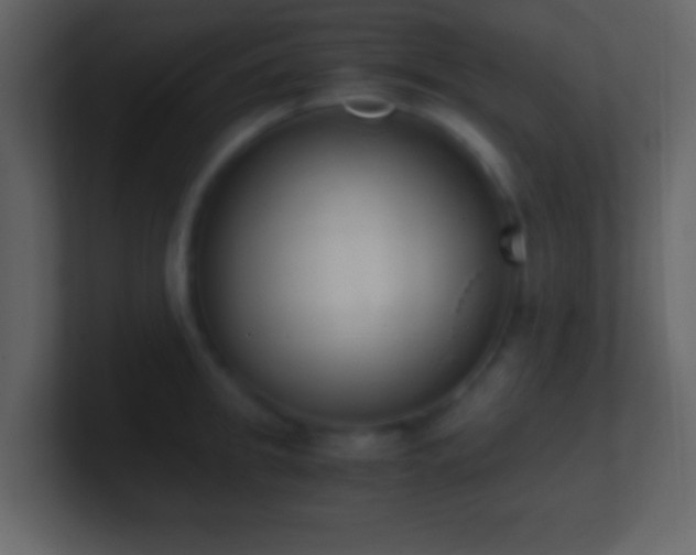 X0000101390949200807071155