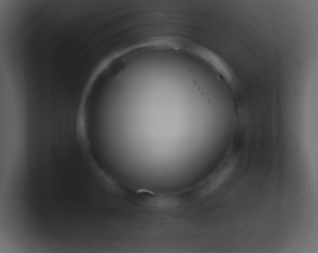 X0000101390952200807071155