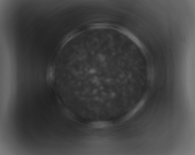 X0000101390953200807071155
