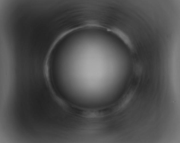 X0000101390955200807071155
