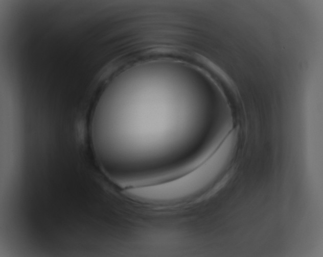 X0000101390969200807071154