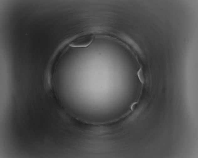 X0000101390973200807071154