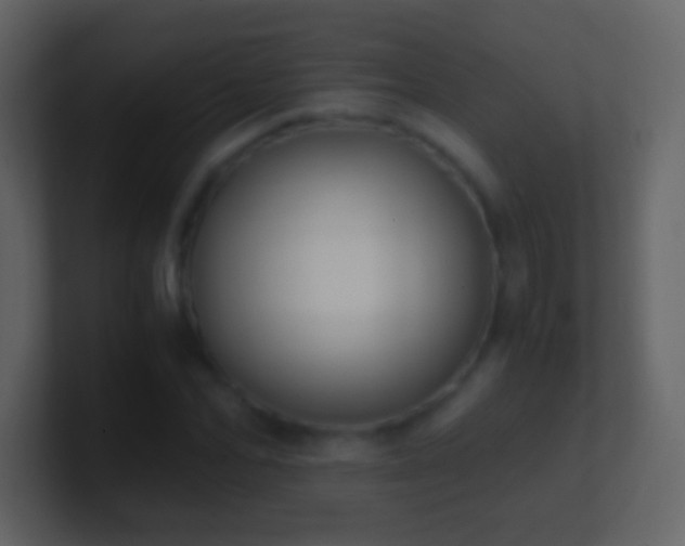 X0000101390974200807071154