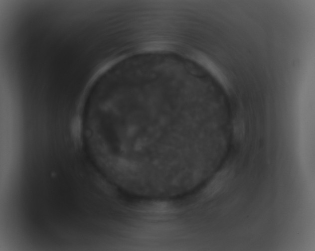 X0000101390975200807071154