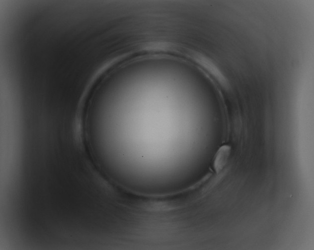 X0000101390976200807071154