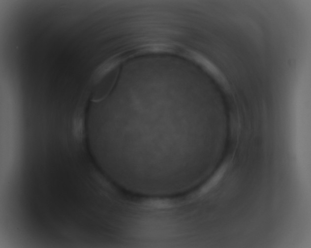 X0000101390977200807071154