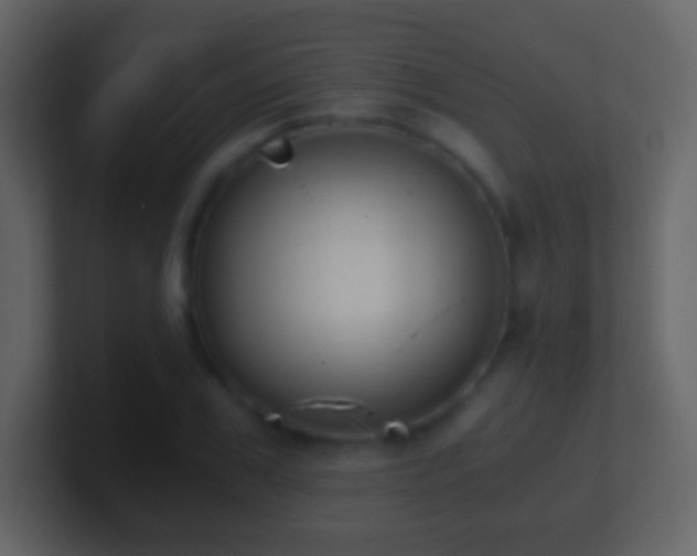 X0000101390979200807071154