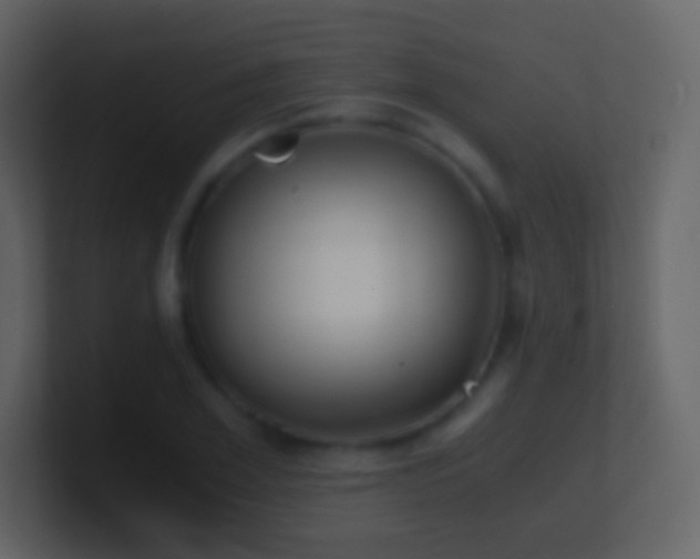 X0000101390981200807071154