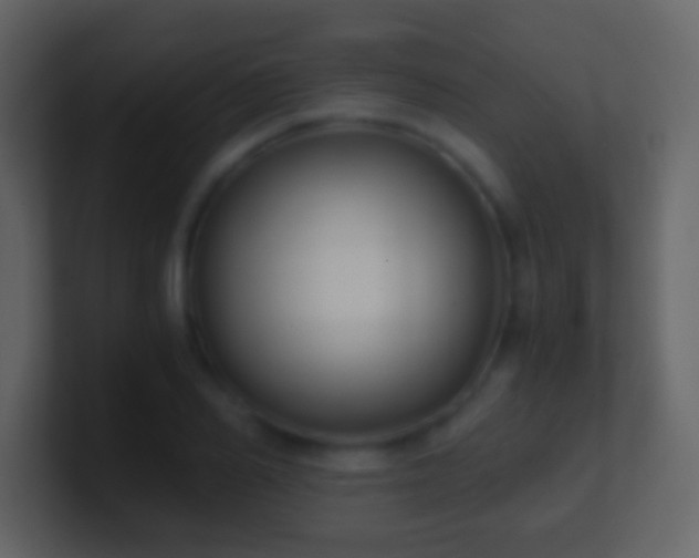 X0000101390982200807071154