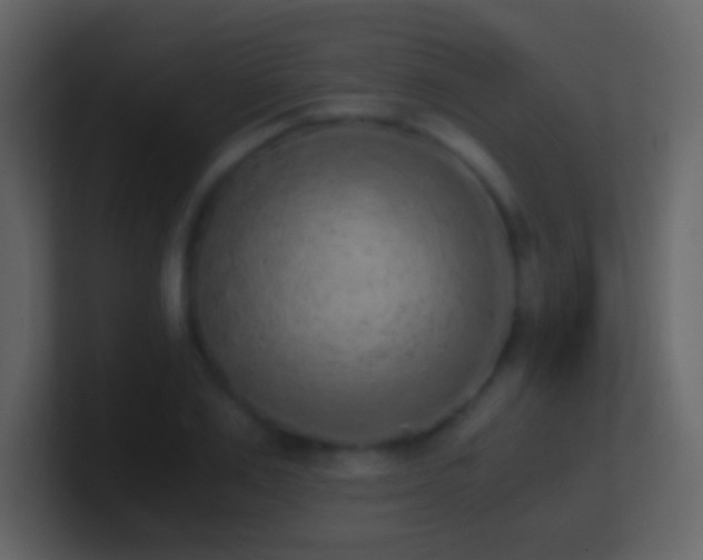 X0000101390983200807071154