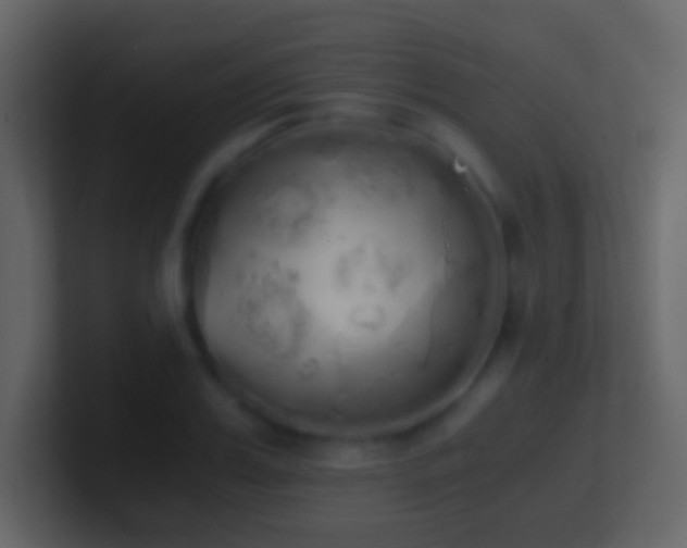 X0000101390987200807071154
