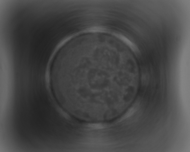 X0000101390990200807071154