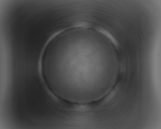 X0000101390991200807071154