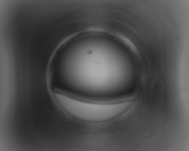X0000101390992200807071154