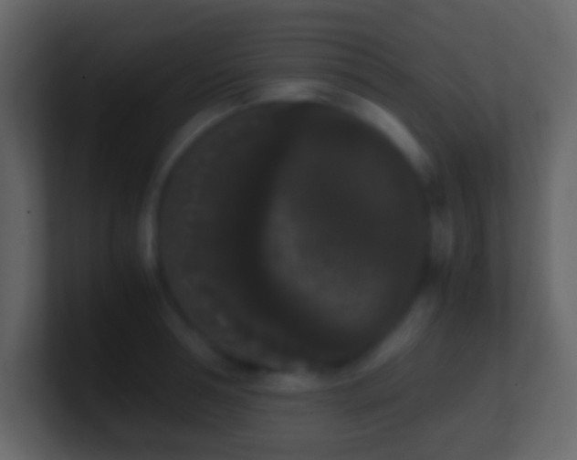 X0000101390994200807071154