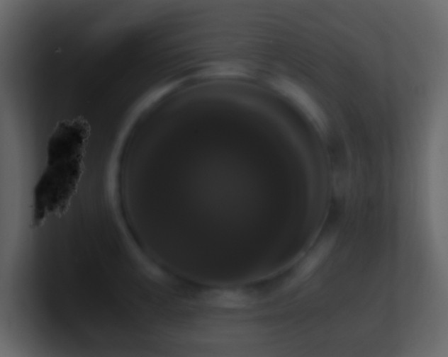 X0000101390995200807071154