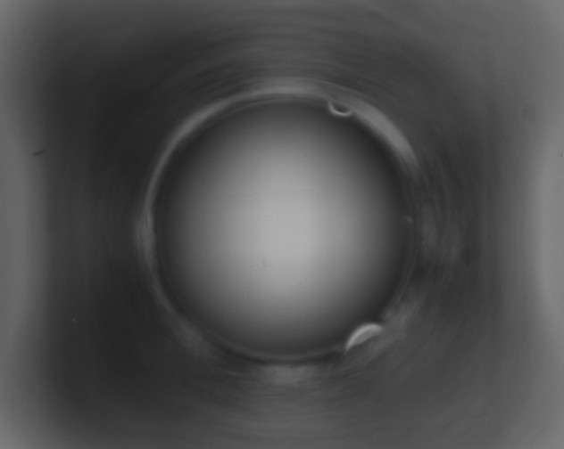 X0000101390996200807071154