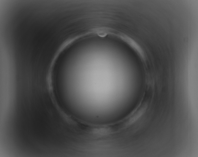 X0000101390997200807071154