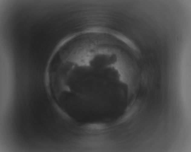 X0000101390998200807071154