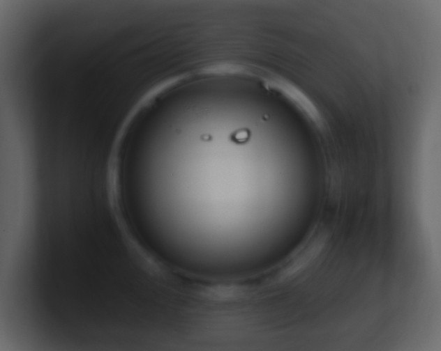 X0000101391000200807071154