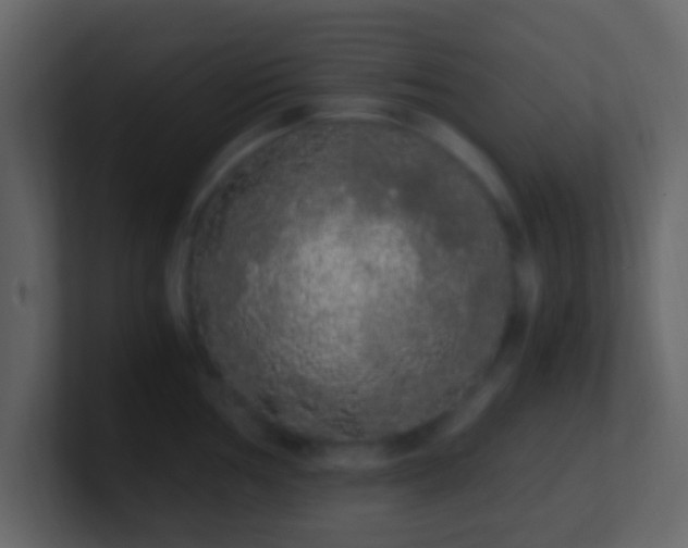X0000101391002200807071154
