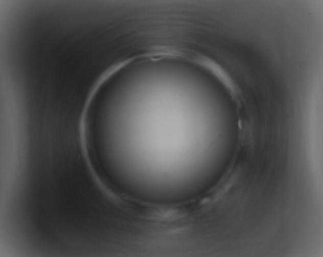 X0000101391003200807071154