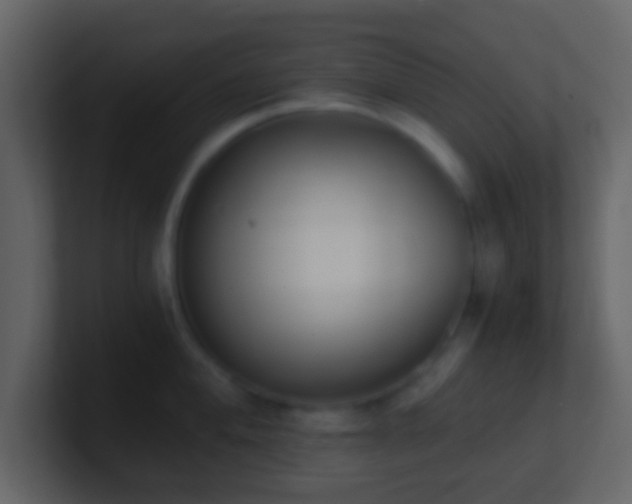 X0000101391004200807071153