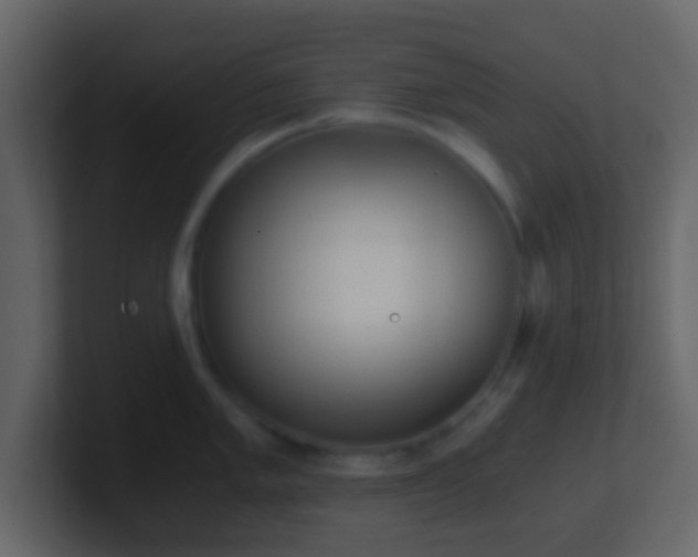 X0000101391005200807071153