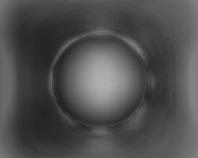 X0000101391006200807071153