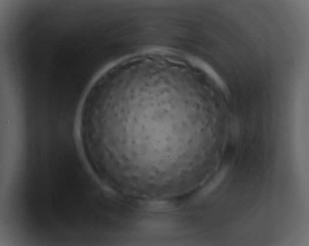 X0000101391007200807071153