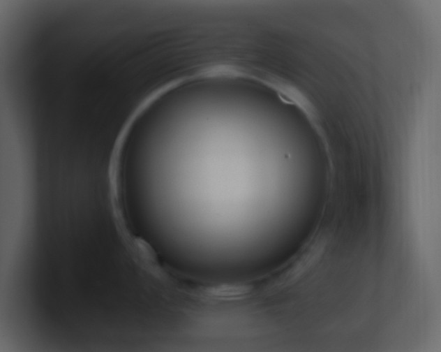 X0000101391008200807071153